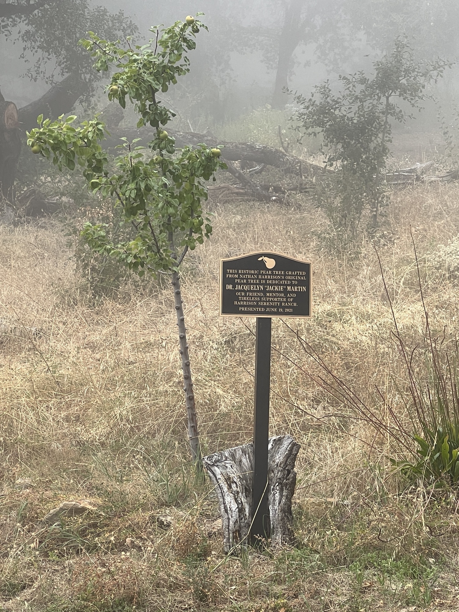 Nature Trail