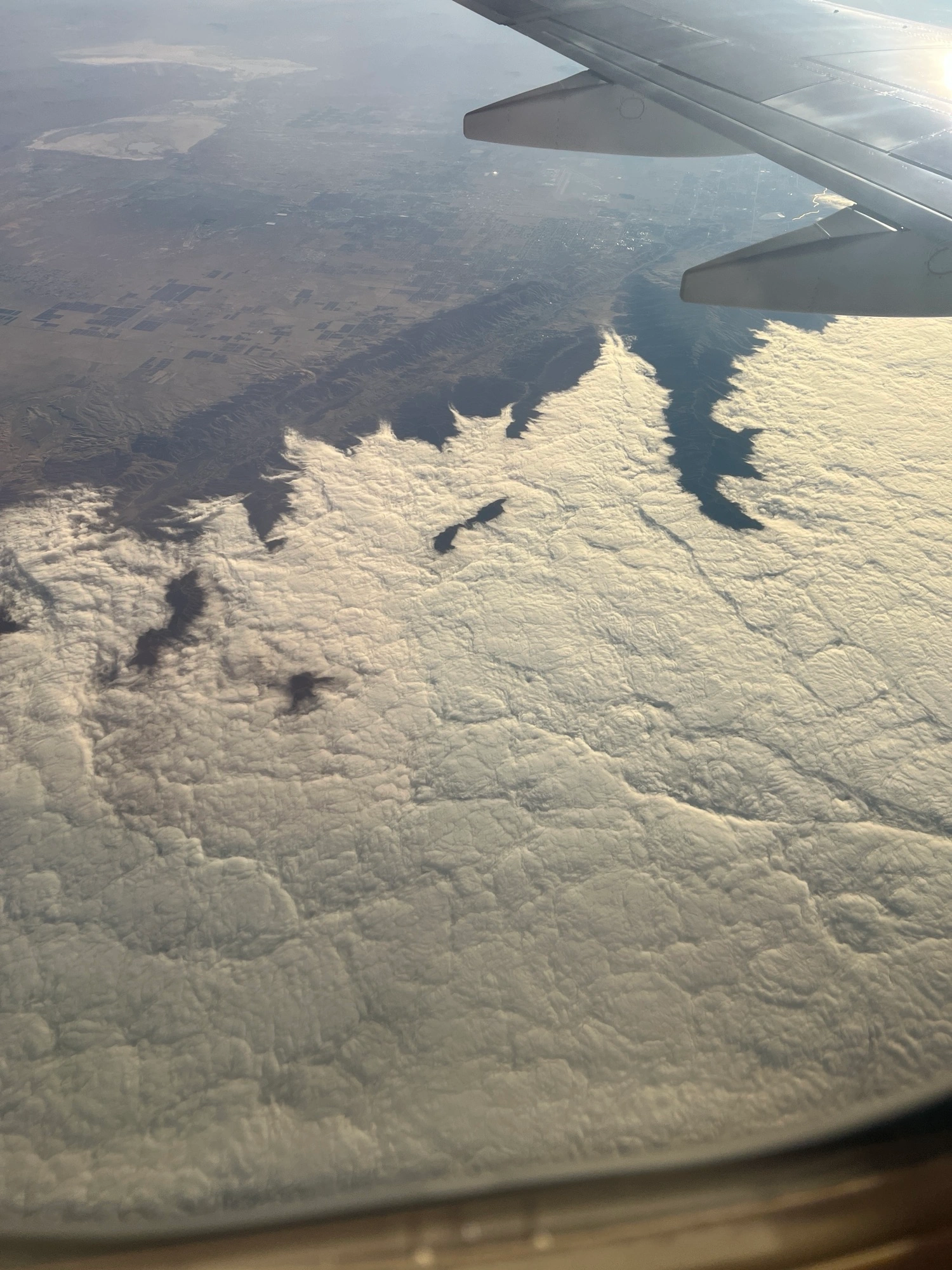 Flight View
